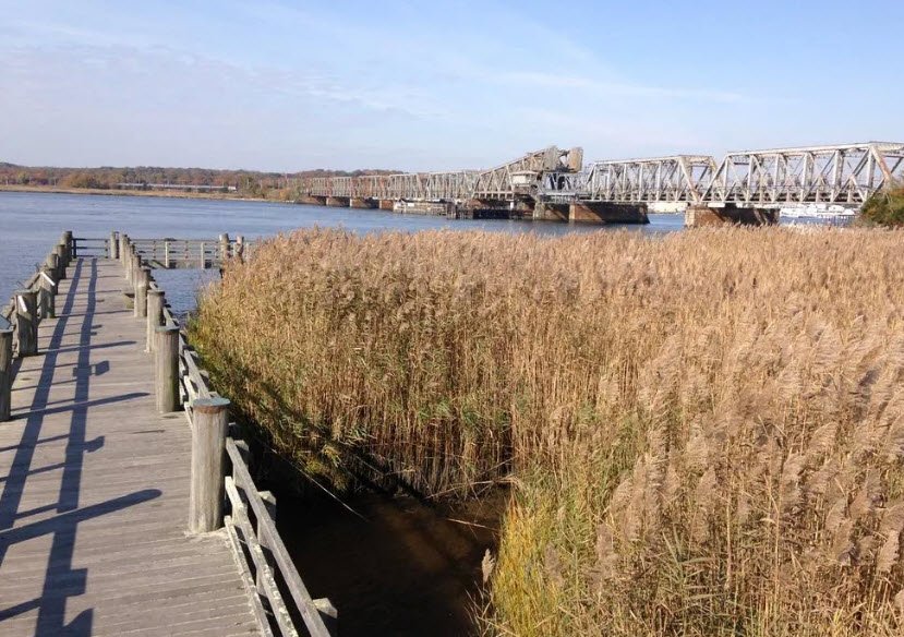 Ferry Landing State Park, Connecticut, USA